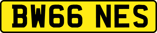 BW66NES