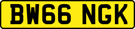BW66NGK