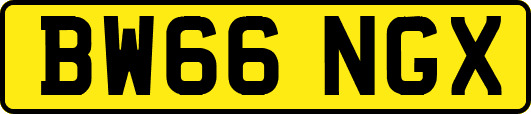 BW66NGX