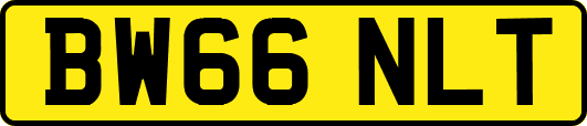 BW66NLT
