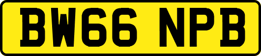BW66NPB