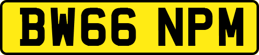BW66NPM