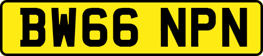 BW66NPN