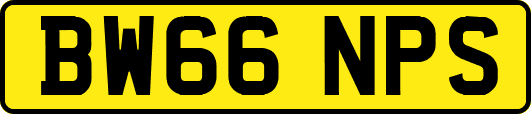 BW66NPS