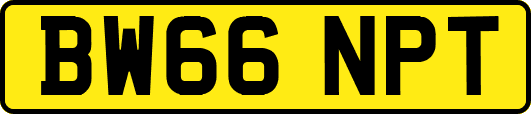 BW66NPT
