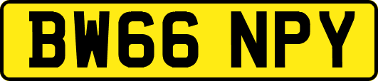 BW66NPY