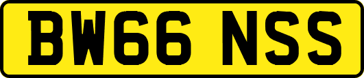 BW66NSS