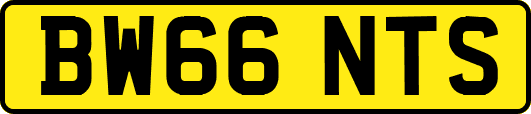 BW66NTS