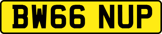 BW66NUP