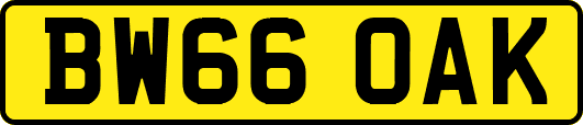 BW66OAK