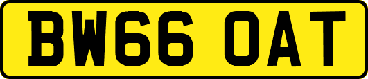 BW66OAT