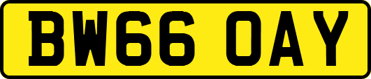 BW66OAY
