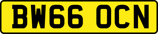 BW66OCN