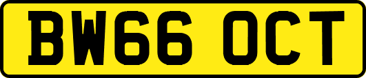 BW66OCT