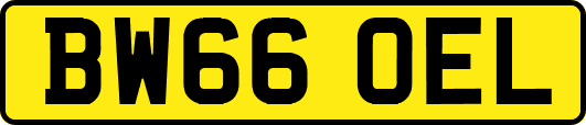 BW66OEL