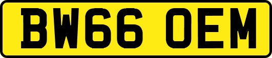 BW66OEM