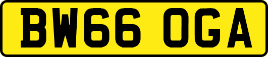BW66OGA