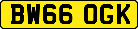 BW66OGK