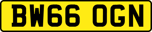 BW66OGN