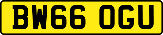 BW66OGU