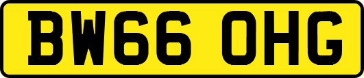 BW66OHG