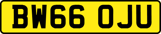 BW66OJU