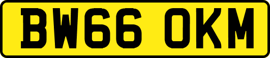 BW66OKM