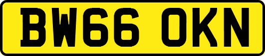 BW66OKN