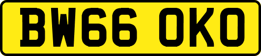 BW66OKO