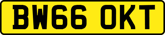BW66OKT