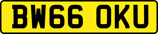 BW66OKU