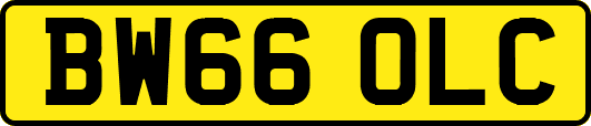BW66OLC