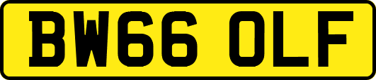 BW66OLF