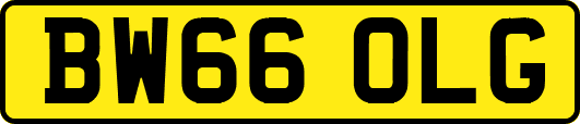 BW66OLG
