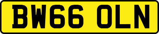 BW66OLN