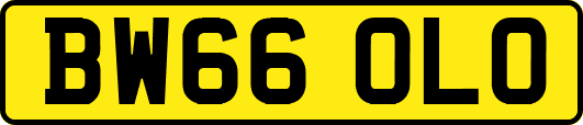 BW66OLO