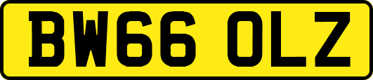 BW66OLZ
