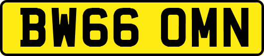 BW66OMN
