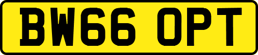 BW66OPT