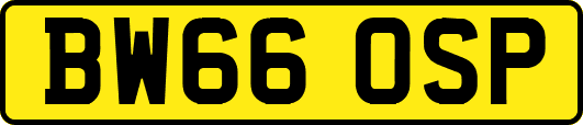 BW66OSP