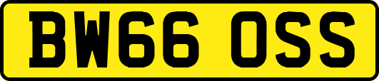 BW66OSS