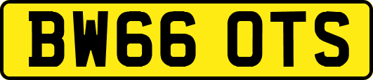 BW66OTS