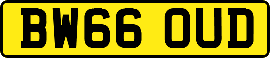BW66OUD