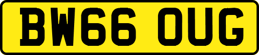 BW66OUG