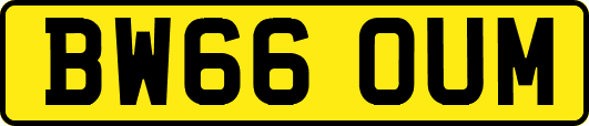 BW66OUM