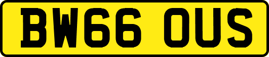 BW66OUS