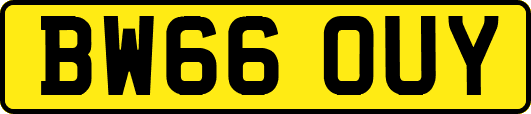 BW66OUY
