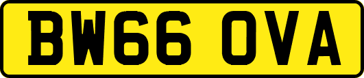 BW66OVA