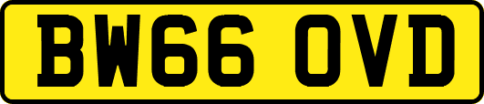 BW66OVD