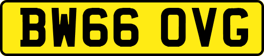BW66OVG